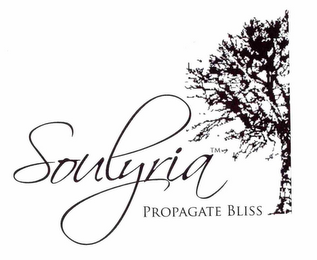 SOULYRIA PROPAGATE BLISS logo