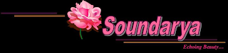 SOUNDARYA ECHOING BEAUTY... logo