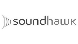 SOUNDHAWK logo