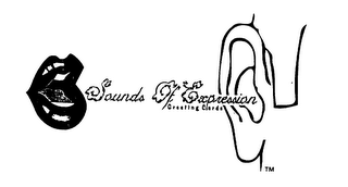 SOUNDS OF EXPRESSION GREETING CARDS TM logo