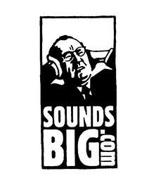 SOUNDSBIG.COM logo
