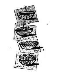 SOUPS STEWS GRAINS GREENS logo