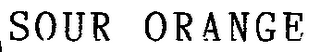SOUR ORANGE logo
