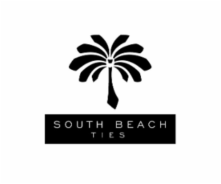 SOUTH BEACH TIES logo