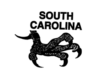 SOUTH CAROLINA logo