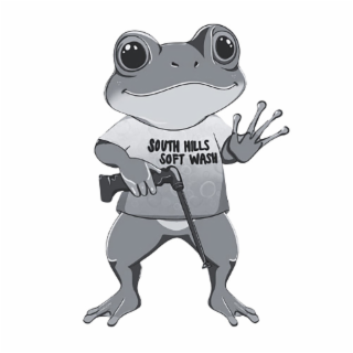 SOUTH HILLS SOFT WASH logo