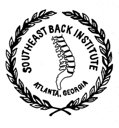 SOUTHEAST BACK INSTITUTE ATLANTA, GEORGIA logo