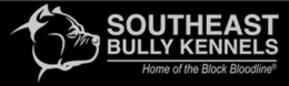 SOUTHEAST BULLY KENNELS HOME OF THE BLOCK BLOODLINE logo
