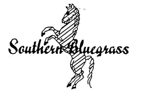 SOUTHERN BLUEGRASS logo