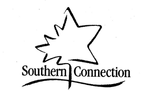 SOUTHERN CONNECTION logo