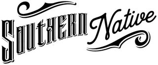 SOUTHERN NATIVE logo