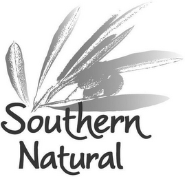 SOUTHERN NATURAL logo