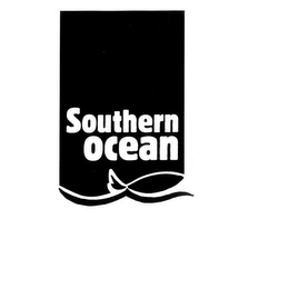 SOUTHERN OCEAN logo
