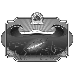 SOUTHERN ORGANICS & SUPPLY S O logo