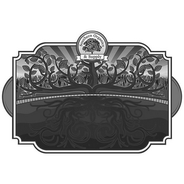 SOUTHERN ORGANICS & SUPPLY S O logo