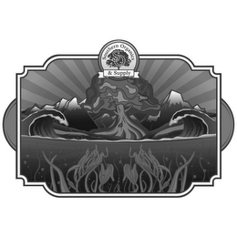 SOUTHERN ORGANICS & SUPPLY S O logo