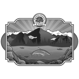 SOUTHERN ORGANICS & SUPPLY SO logo