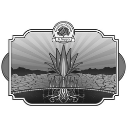SOUTHERN ORGANICS & SUPPLY SO logo