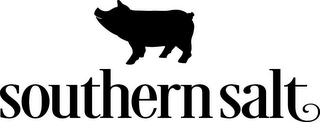 SOUTHERN SALT logo