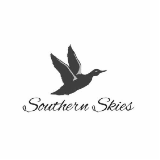 SOUTHERN SKIES logo