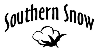 SOUTHERN SNOW logo