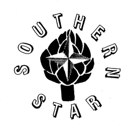 SOUTHERN STAR logo