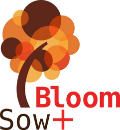 SOW + BLOOM logo
