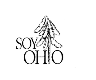 SOY OHIO logo