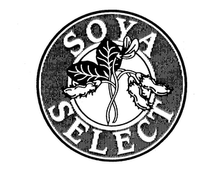 SOYA SELECT logo