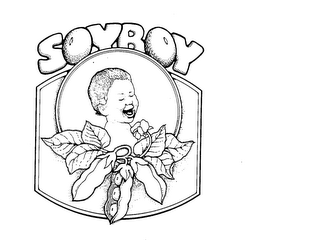 SOYBOY logo