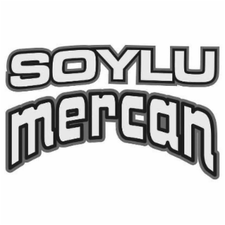 SOYLU MERCAN logo