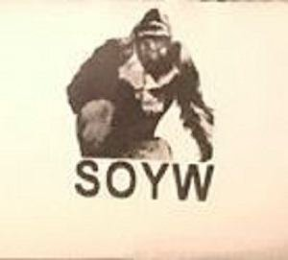 SOYW logo
