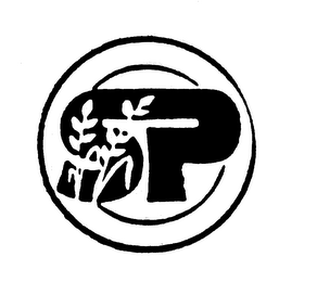 SP logo