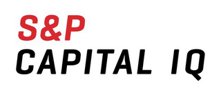 S&P CAPITAL IQ logo