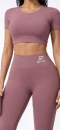 SP SP FIT logo