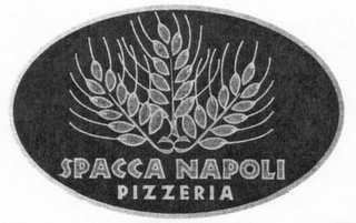 SPACCA NAPOLI PIZZERIA logo