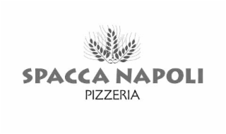 SPACCA NAPOLI PIZZERIA