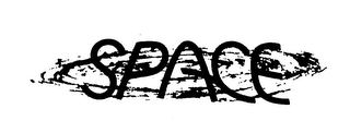 SPACE logo