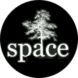 SPACE logo