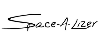 SPACE-A-LIZER