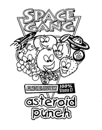 SPACE GANG ASTEROID PUNCH logo