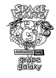 SPACE GANG GRAPE GALAXY logo