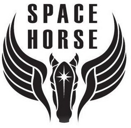 SPACE HORSE logo