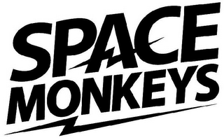 SPACE MONKEYS logo