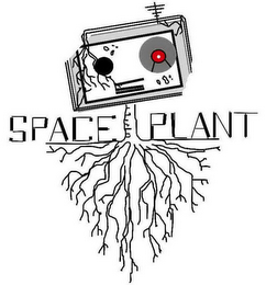 SPACE PLANT logo