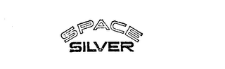 SPACE SILVER logo