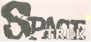 SPACE TREK logo