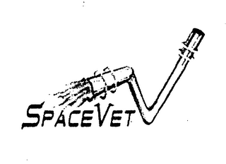SPACE VET logo