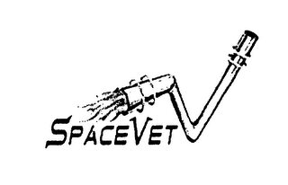 SPACE VET logo