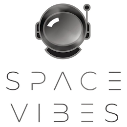 SPACE VIBES logo